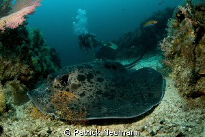Similan Islands by Patrick Neumann 